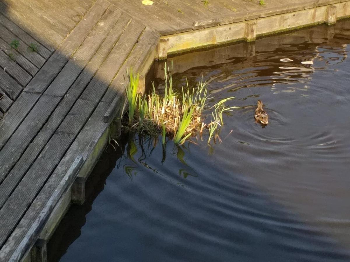 Huisje Aan Het Water, Omgeving Amsterdam Villa Zaandam Eksteriør billede