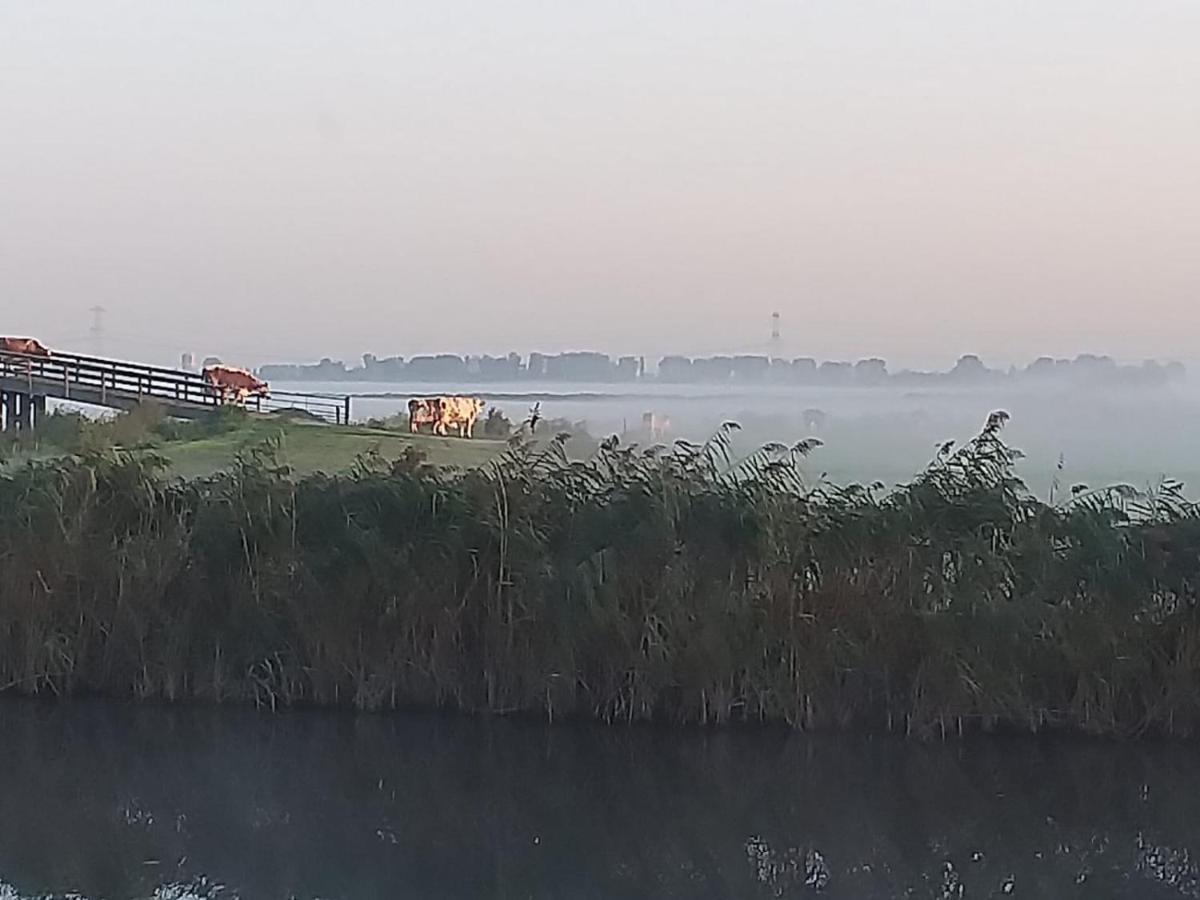 Huisje Aan Het Water, Omgeving Amsterdam Villa Zaandam Eksteriør billede